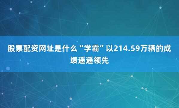 股票配资网址是什么“学霸”以214.59万辆的成绩遥遥领先